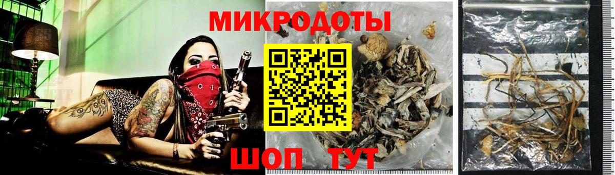 Псилоцибиновые грибы мицелий  Вход с VPN  Ковров 