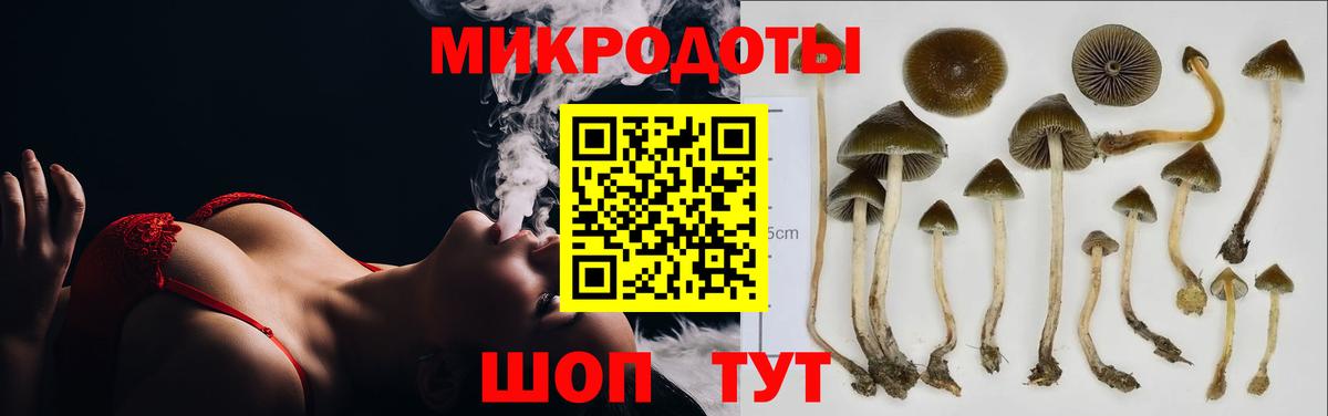 Галлюциногенные грибы прущие грибы Ковров